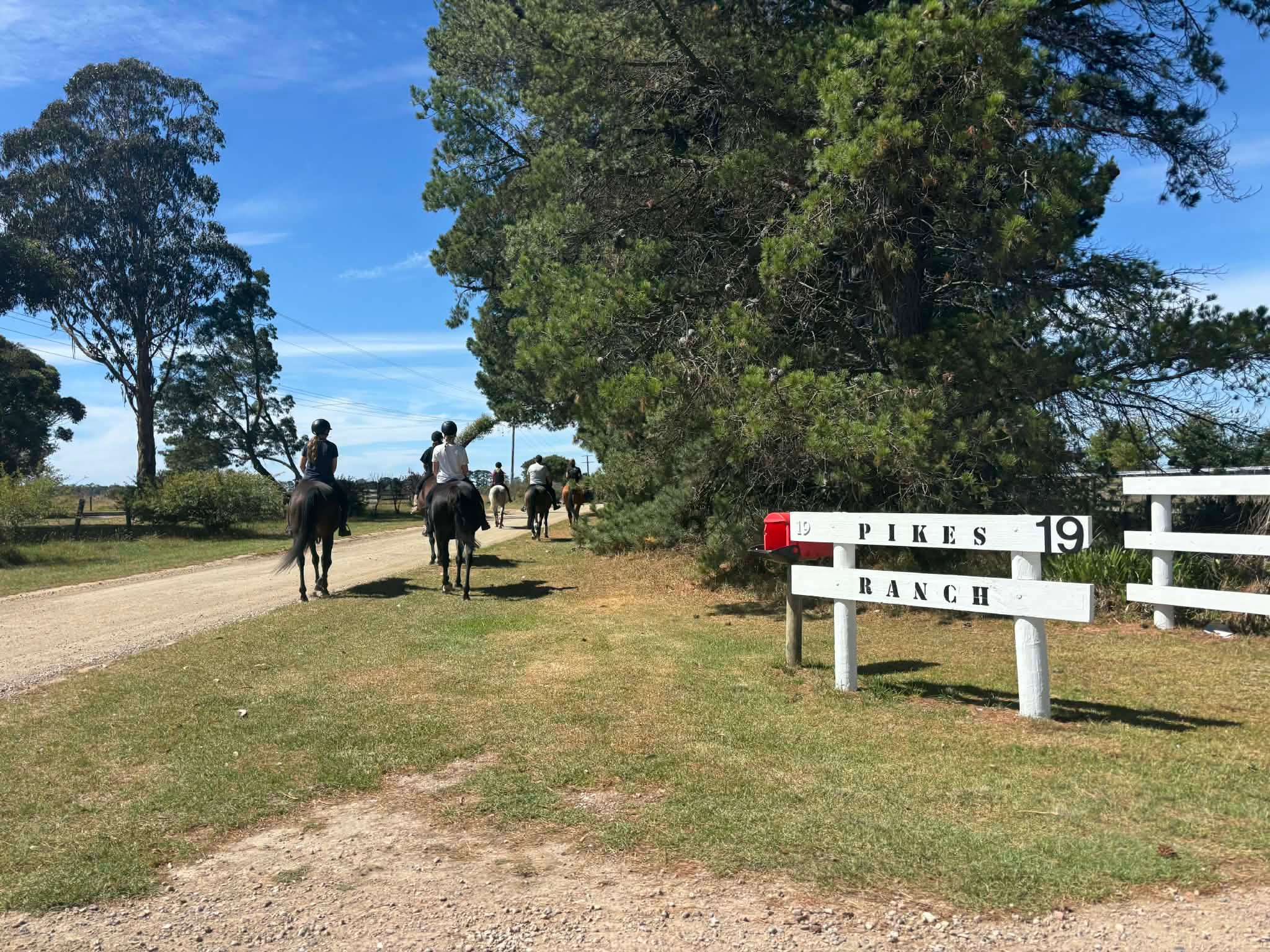 Group ride photo 7